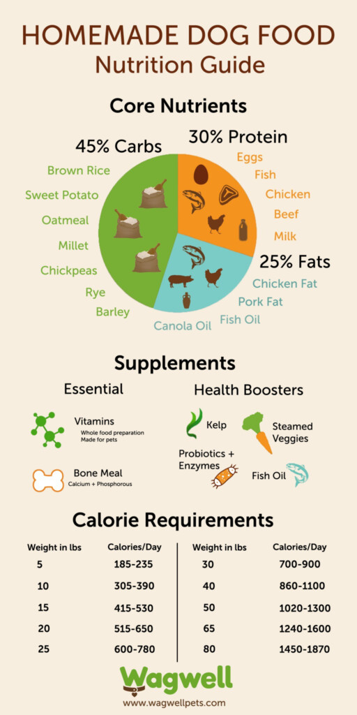 10 Best Dog Food Nutrition Infographics Ever Made
