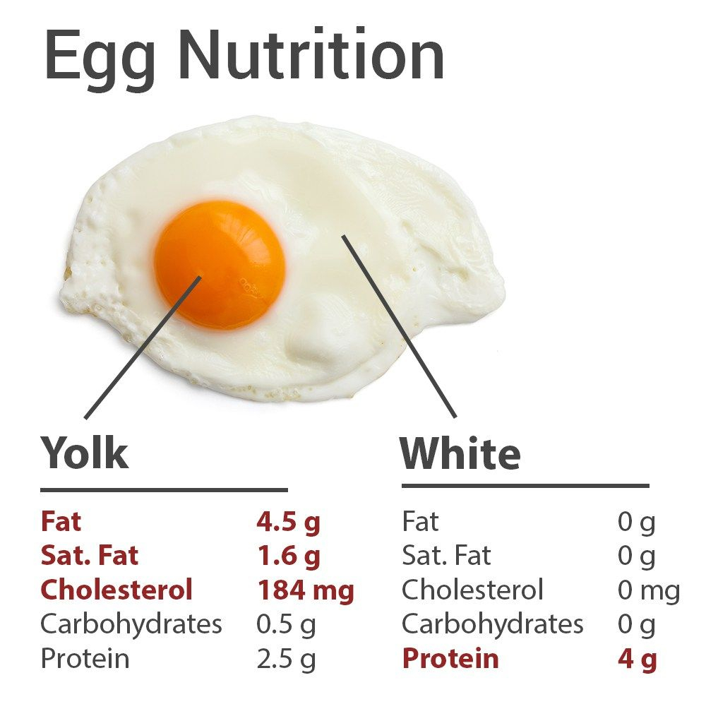 266 Egg Yolk Nutrition Facts Information Eggcalories