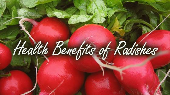 8 Important Health Benefits Of Radishes Nutrition Fox