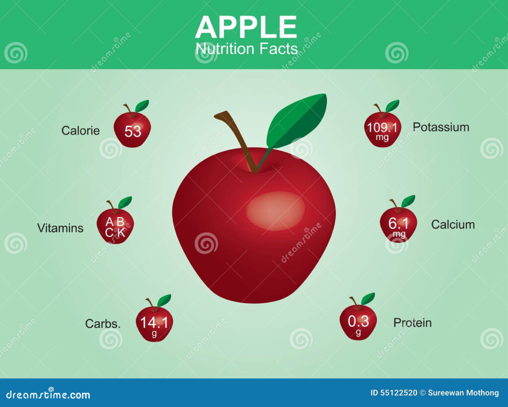 Apple Nutrition Facts Apple Fruit With Information Apple Vector Stock 