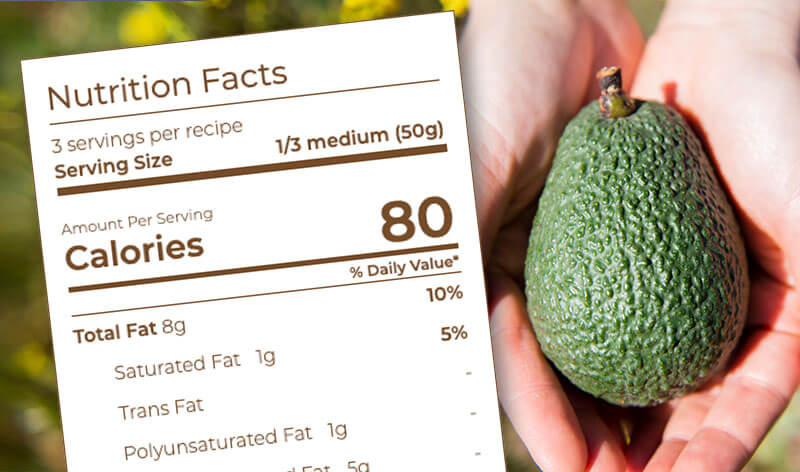 Avocado Nutrition Facts Label Avocado Calories Serving Size