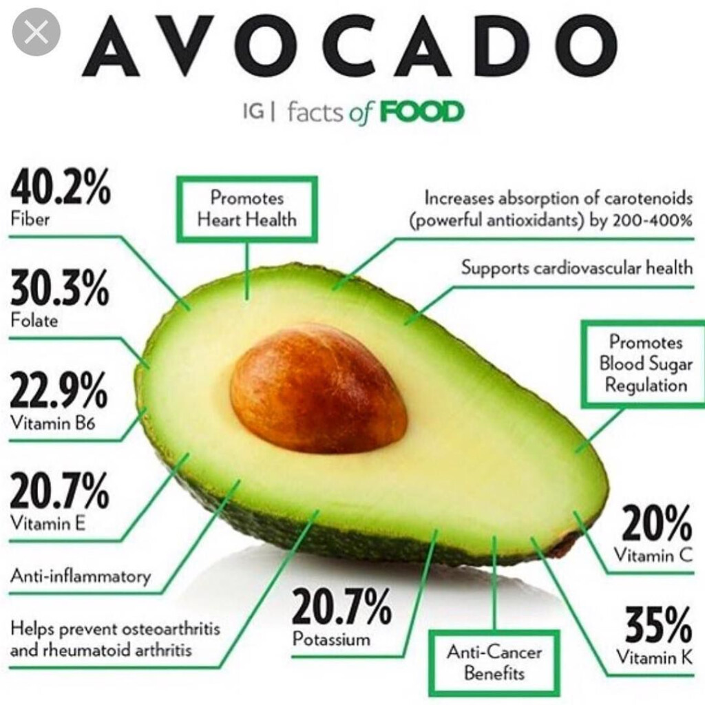 Avocados Protein At Murray Ulrich Blog