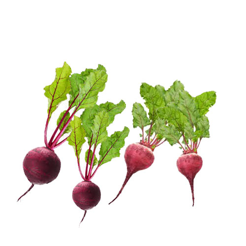 Beet Greens Nutrition Facts Health Properties Veggies Info