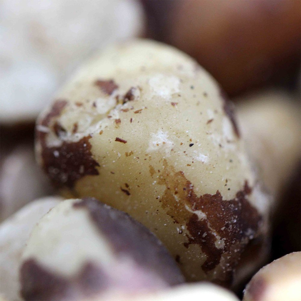 Brazil Nuts Harriet 39 s Of Hove
