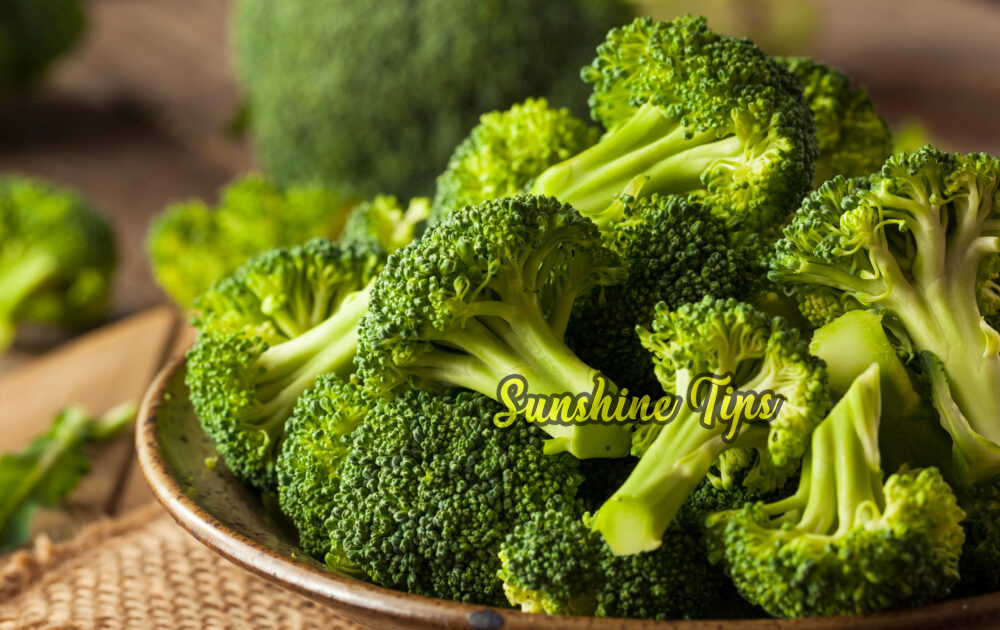 Broccoli Uses Side Effects And Nutritional Information Sunshine Tips