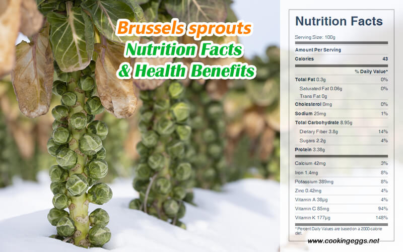 Brussels Sprouts Nutrition Facts Health Benefits CookingEggs