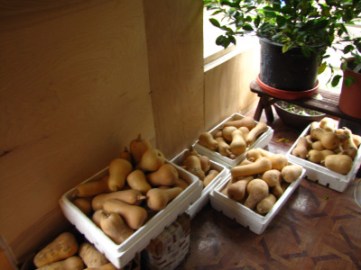 Butternut Squash Nutritional Information