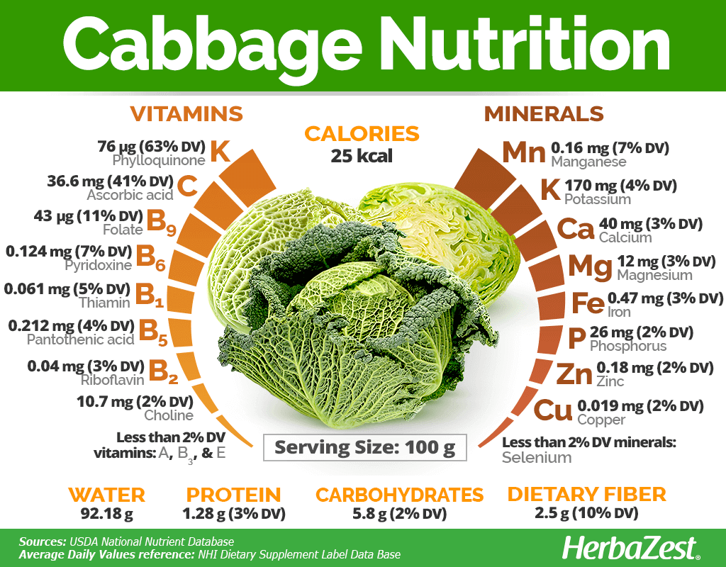 Cabbage Nutrition Cabbage Nutrition Nutrition Food Health Benefits