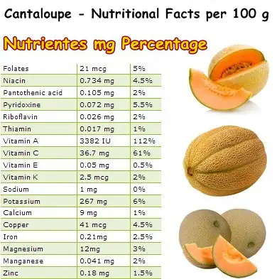 Cantaloupe Nutrition Table NatureWord