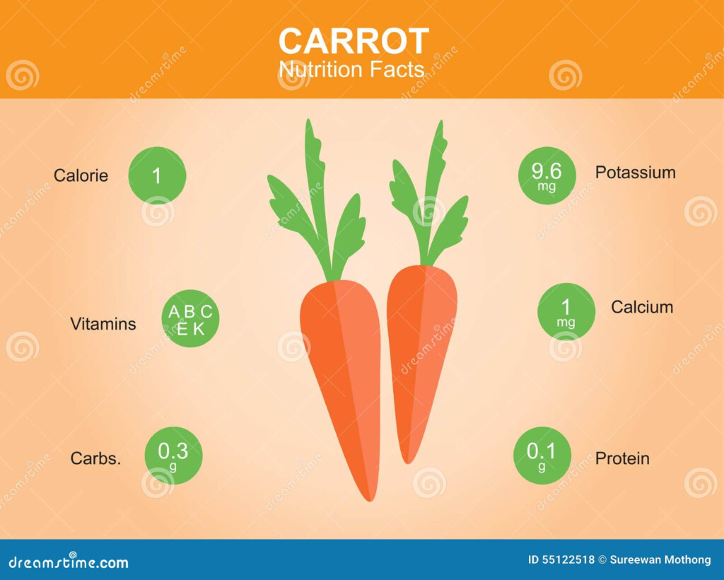 Carrot Nutrition Facts Carrot With Information Carrot Vector Stock 