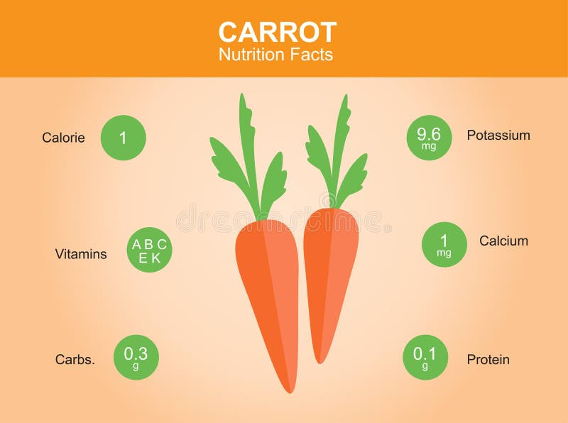 Carrot Nutrition Facts Carrot With Information Carrot Vector Stock 