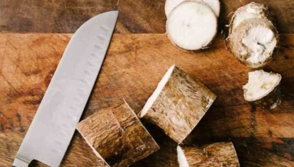 Cassava Nutritional Value And Health Benefits Sabhkuchinfo