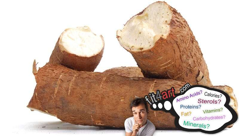 Cassava Nutritional Value And Information