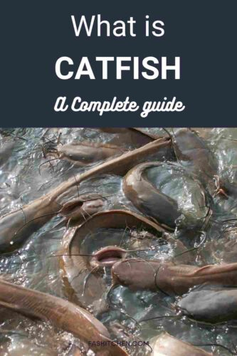 Catfish 101 Nutrition Benefits How To Use Buy Store Catfish A 