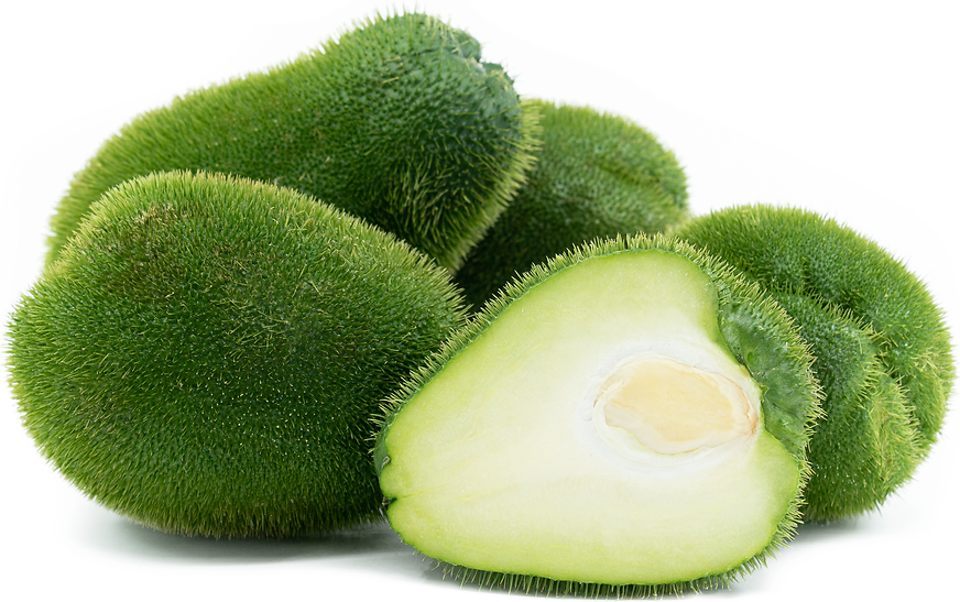 Chayote Leaves Nutritional Facts Nutrition Ftempo