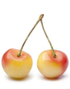 Chelan Fresh Washington State Cherries Cherry Varieties