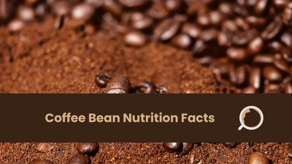 Coffee Bean Nutrition Facts Everything About Coffee Kitchen House 