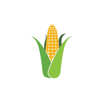 Corn Cob Nutrition Raw Vegetable Cereal PNG Transparent Image And 