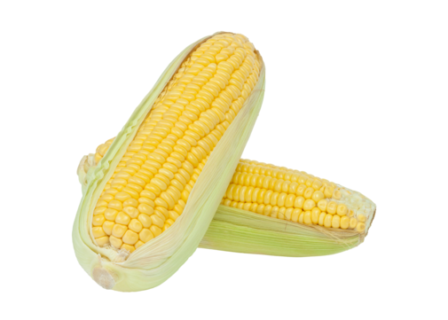 Corn Cob Nutrition Raw Vegetable Cereal PNG Transparent Image And 