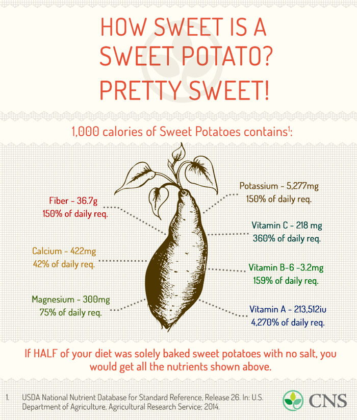 Crispy Sweet Potato Chips