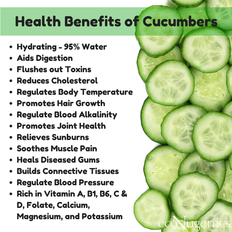 Cucumbers For Dogs 101 Can Dogs Eat Cucumbers 