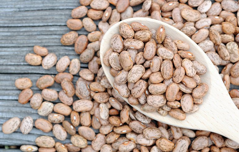 Fiber Folate And Protein Plus 4 More Pinto Bean Benefits Lifetime 