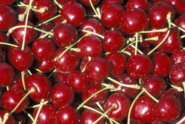 Fresh Bing Cherries Nutritional Information Livestrong
