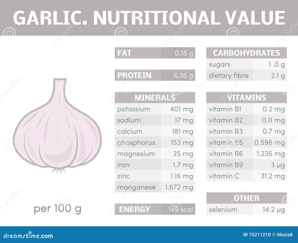 Garlic Infographic Stock Illustration Illustration Of Health 75211210