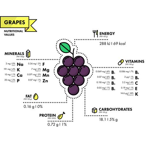 Grapes Nutritional Information Vector Free Download
