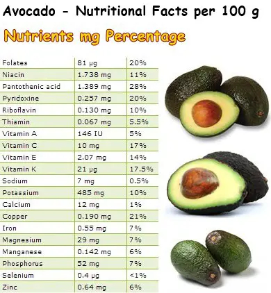 Hass Avocado Nutrition Facts Besto Blog