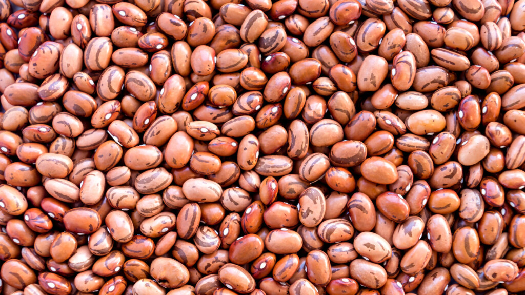 Is There A Nutritional Difference Between Black Beans And Pinto 