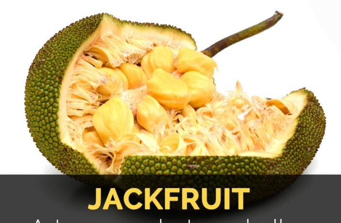 Jackfruit Nutritional Information Besto Blog