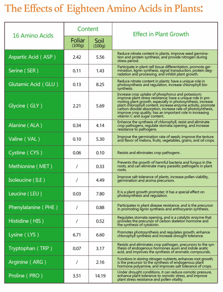 KELP NUTRITIONAL VALUE GENERATION MARINE BIOTECHNOLOGY USA INC An 