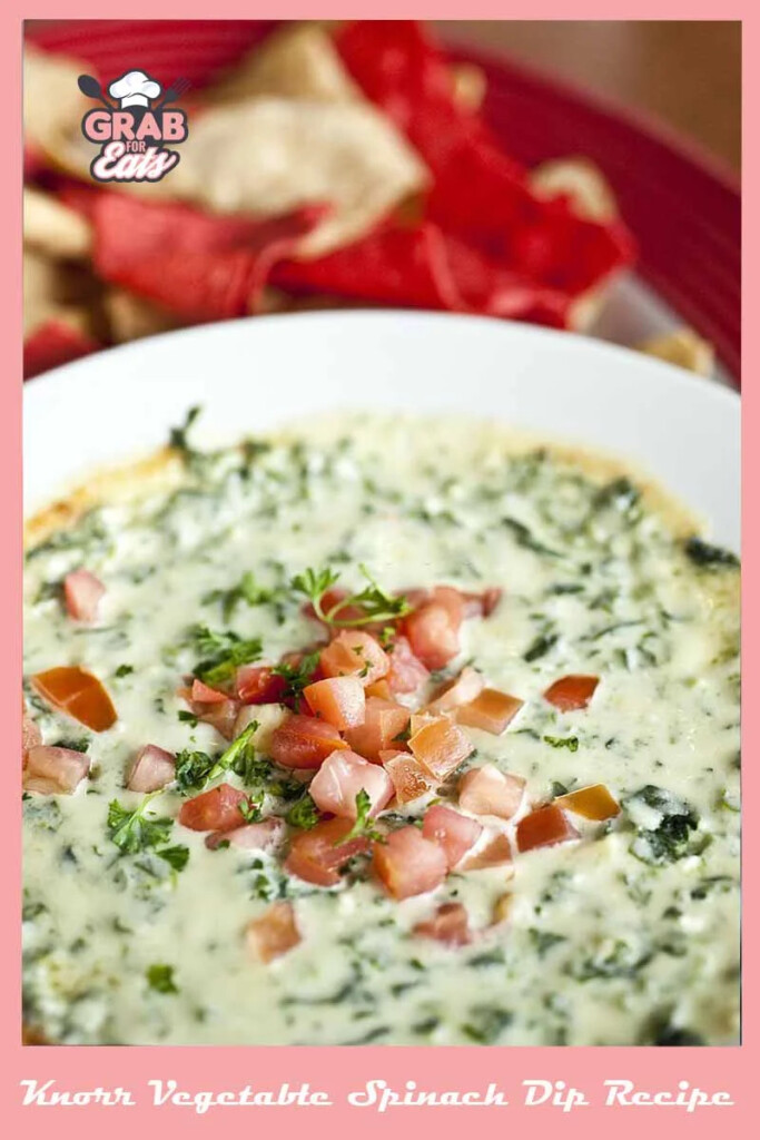 Knorr Vegetable Spinach Dip Recipe 80 39 s Takes On The Classic Spinach Dip