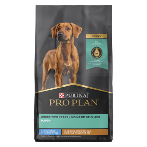 Large Breed Puppy Purina Express