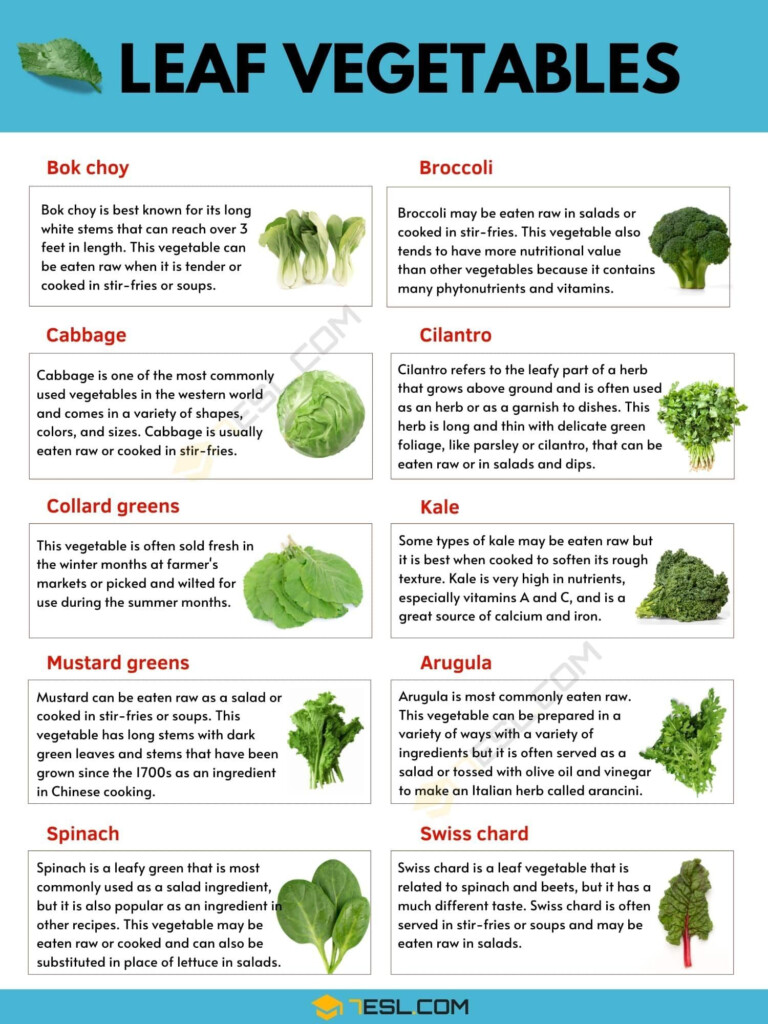 Leaf Vegetable Examples Of Leaf Vegetables With Pictures And Facts 