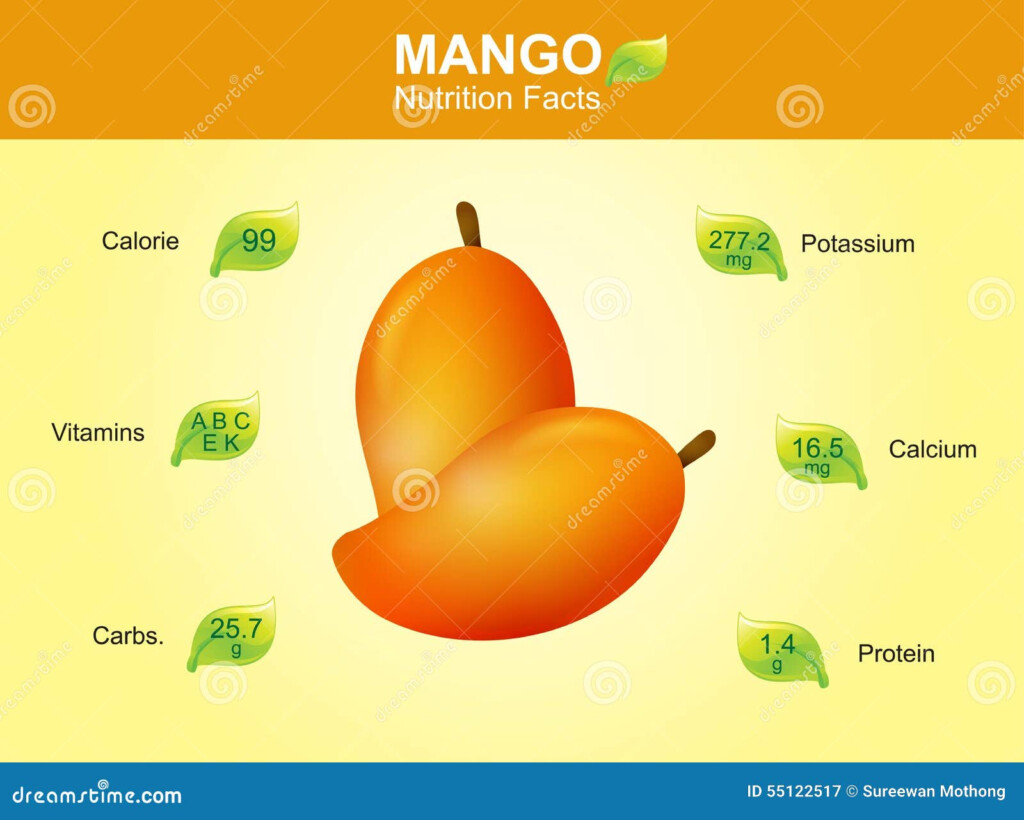 Mango Nutrition Facts Mango Fruit With Information Mango Vector Stock 