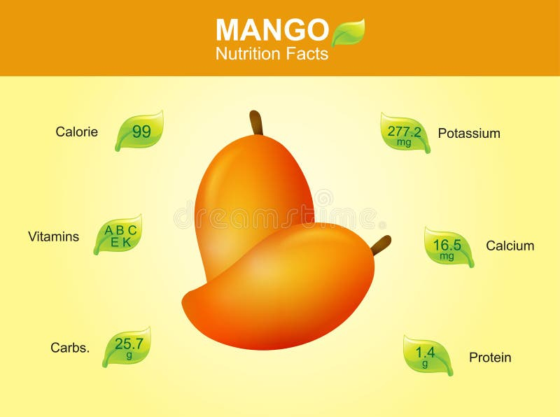 Mango Nutrition Facts Mango Fruit With Information Mango Vector Stock 