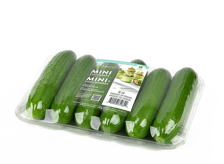 Mucci Farms