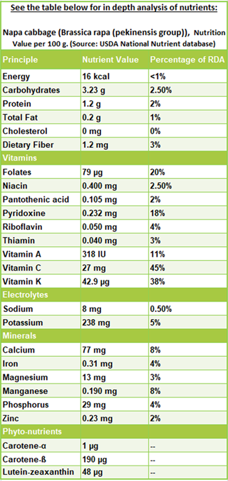 Napa Cabbage Chinese Cabbage Nutrition Facts And Health Benefits