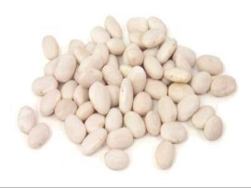Navy Beans Nutrition Facts Eat This Much