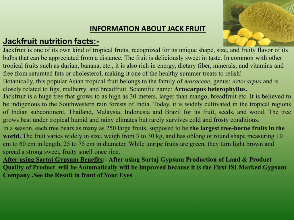 Nutritional Information Jackfruit Besto Blog