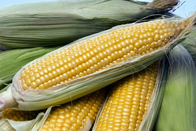 Nutritional Information On Masa Flour Vs Whole Corn Livestrong