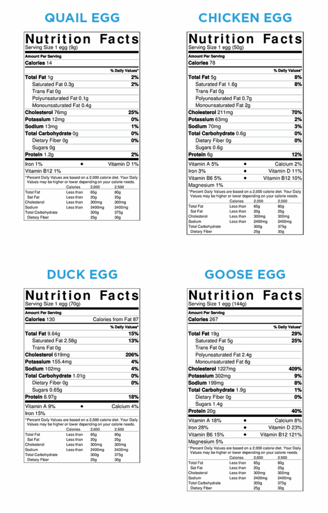 Nutritional Value Of Duck Eggs Compared To Chicken Eggs