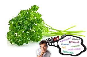 Parsley Nutritional Value And Information