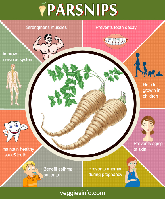 Parsnip Nutrition Summary Health Properties Veggies Info