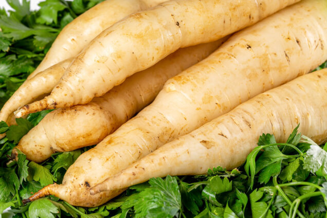 Parsnip The Superfood You Didn 39 t Know You Needed