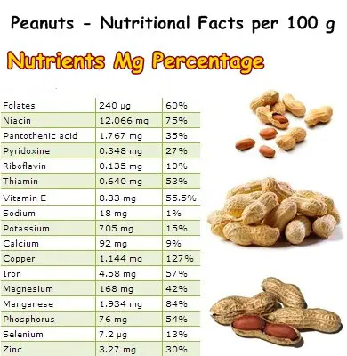 Peanut Nutrition Table NatureWord