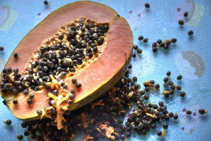 Pepitas Nutritional Seeds Why Are They So Healthy ELMENS