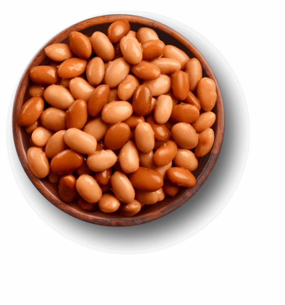 Pinto Beans Green Valley Organics